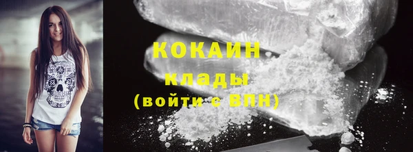 стафф Гусев