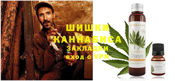 стафф Гусев