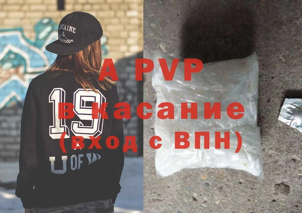 стафф Гусев