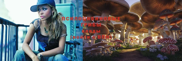 стафф Гусев