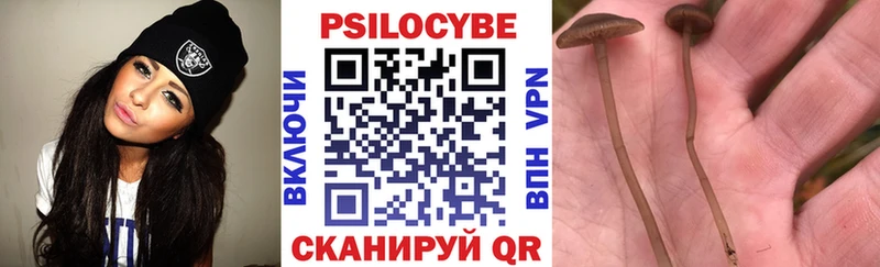 Галлюциногенные грибы Magic Shrooms  купить закладку  Дубовка 